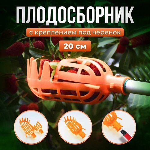 ������ ������ ������������ ��� �������: �����, ����, �����, �����, ���������. ������������ ����������� 20�� (���������) ����