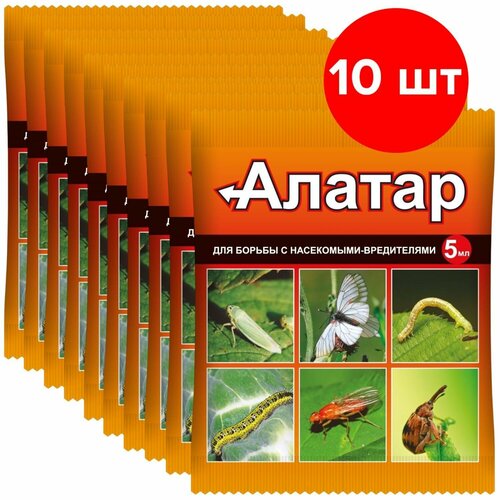 ������ ������ ���� ��������� �������� ��� ������ �� ���������-���������� ������, 5 ��, 120 �, 10��. ����