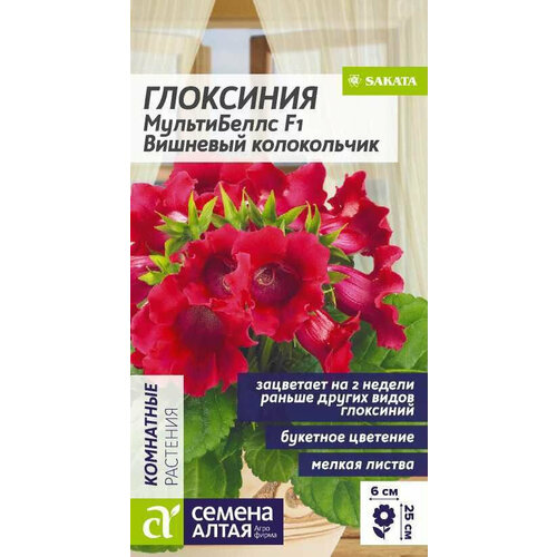 ������ ������ ������ ��������� ����������� �������� ����������� F1 5�� ���� 20�� (������ �����) ����