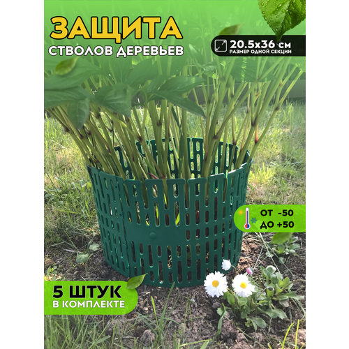 ������ ������ ������ ������� ��������, ����� 5 ��, 36�20 �� ����