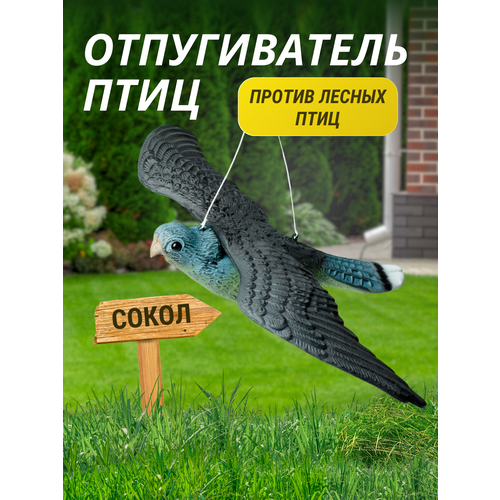 ������ ������ ������������ ���� ����� ����