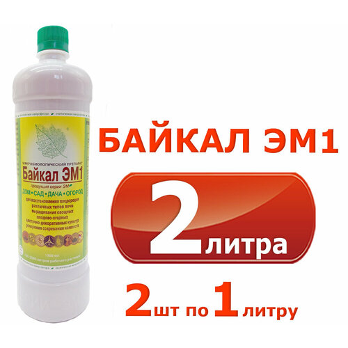 ������ ������ ������ ��-1, 2 ������� �� 1 ����� ����