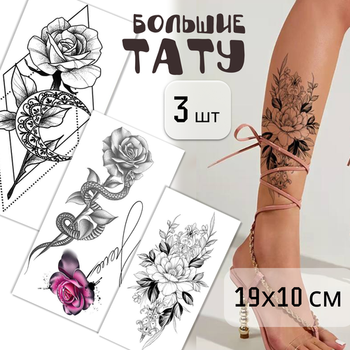 ������ ������ ����� ������� ���������� ���� 3 ����� (19�10 ��). ��������� ����