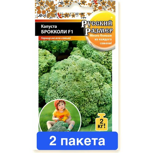 ������ ������ ������ ������ ������� ������ 