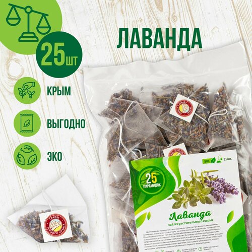 ������ ������ ������� ������� � ���������, 25 �� ����