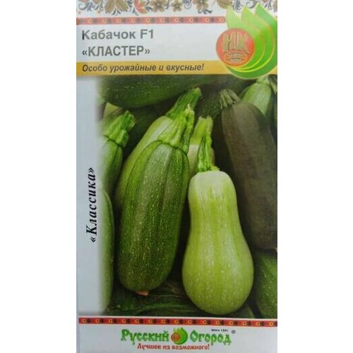 ������ ������ ������ ������� ������� F1 10�� ������ ����� (������� ������) ����