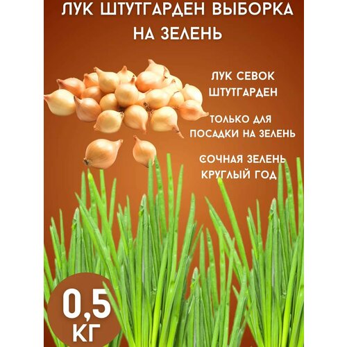 ������ ������ ��� ���������� �� ������ 0,5�� ����