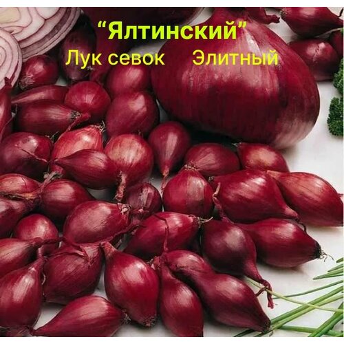 ������ ������ ��� ����� �� ������� ��������� ������� 700�� ����