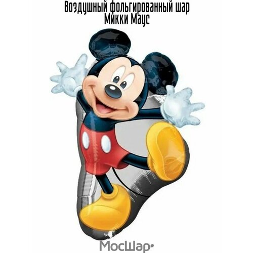 ������ ������ ��������� ��� ��������������, ���������� ������ ������ ����� ����, 81 ��, ������ ����