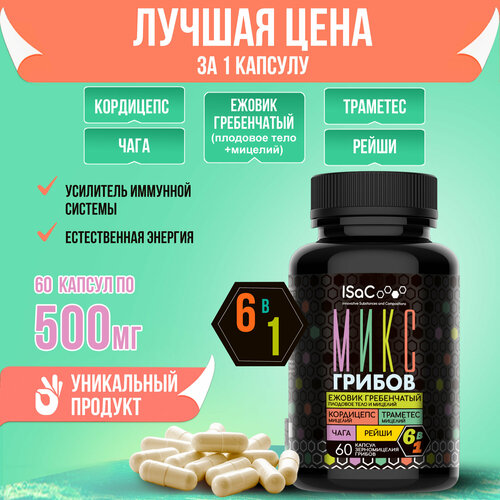 ������ ������ ����� �� 6 ������ ��� ���������� - ������ ����������� �������� ����, ������ ���������� �������, ����, �����, ���������, �������� ����