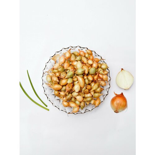 ������ ������ ���-����� ������������� 2 ������ 1�� ����