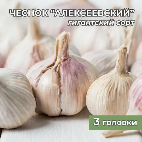 ������ ������ ���������� ������ ������������ ������ �� ������� 3 ������� ����