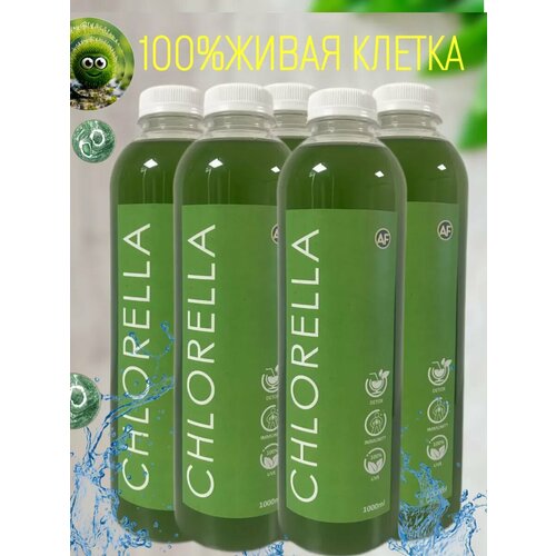 ������ ������ �������� - ����� ������ ��������� 5 ������ ����