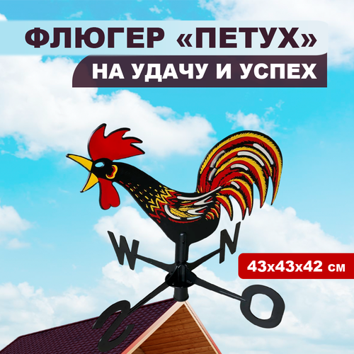 ������ ������ ������ �� ����� ����-������� ����