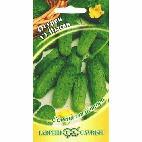 ������ ������ ������ ������ ����� F1 (������) 10�� ����