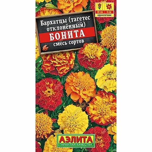 ������ ������ ������ �������� ������ ����� ������, ����������, (������) 0,3� ����