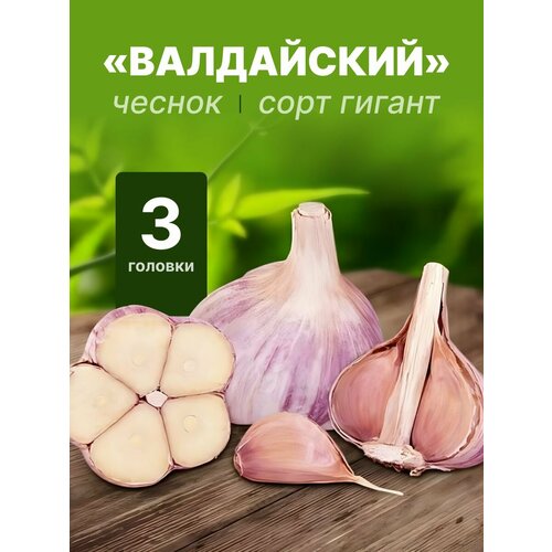 ������ ������ ���������� ������ 