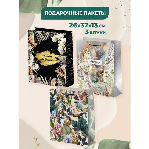 ������ ������ ���������� ����� ��� �������, ������� 