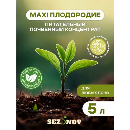 ������ ������ ��������� ���������� MAXI ����������, ������������ �������, ��������� ��� ���� � �������, 5 � ����