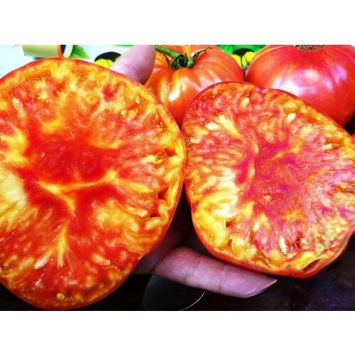 ������ ������ ��������� - ������ ������� ����