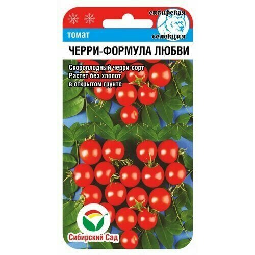 ������ ������ ������ ����� �����-������� ����� 20�� ��� ������ (��������� ���) ����