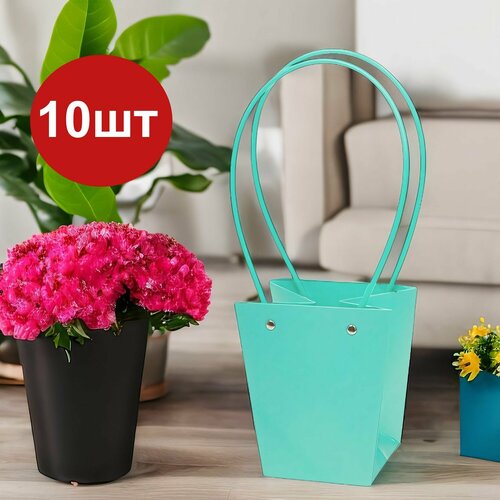 ������ ������ ����� ��� ������ �������������� ����� ����� ����� 10�� 13x9,5xH15,5 �� ����