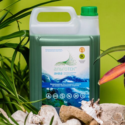 ������ ������ �������� ��� ����� - �������� ���� 5 � ����