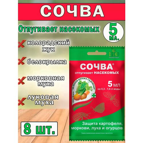 ������ ������ �������� �� ���������� ����� 5�� ����