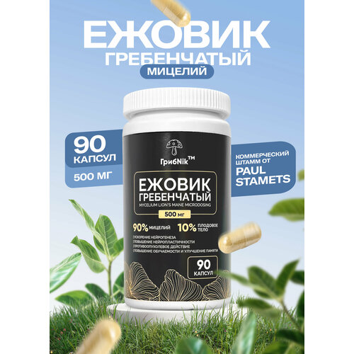 ������ ������ ������(������) ����������� ������� ����Nik - 500 �� � 90 ������ ����