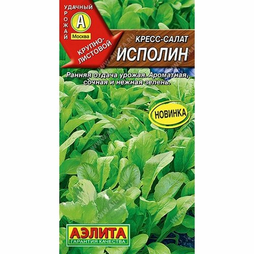 ������ ������ ������ �����-����� ������� (������) 1� ����