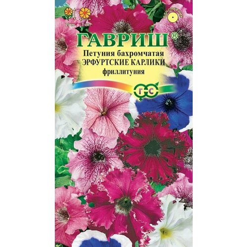 ������ ������ ������ ������� ��������� ������� ���� 7�� ���� �������� (������) ����