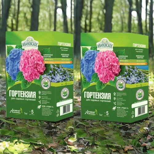 ������ ������ ����������� ��������� ��� ������� ���������. ��������� 1�� / 2��. �������� ����������� ��������������. ������������ �������, ������, ��������� ����. ����