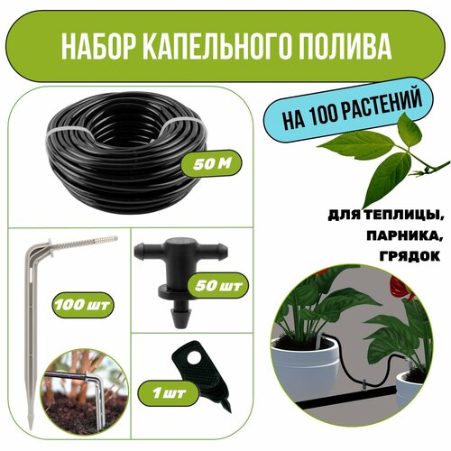 ������ ������ ����� ���������� ������ �� 100 �������� ��� �������, �������, ������ ����