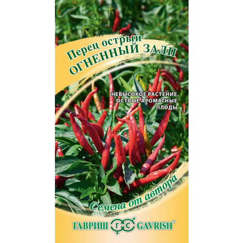 ������ ������ ������ ����� ������ �������� ����, 0,1�, ������, ������ �� ������, 10 ��������� ����