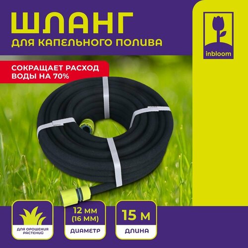 ������ ������ ����� ��������� Inbloom ��� ���������� ������ �������� 15� x 12�� (16��) ����