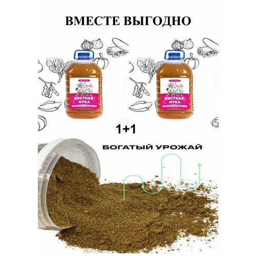 ������ ������ ��������� ������� ���� 2 ��. �� 5 ������ ����