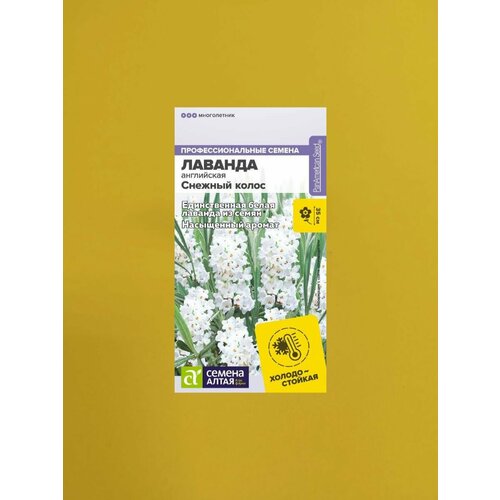 ������ ������ ������� ������� ����� ���������� 5 ����� ����