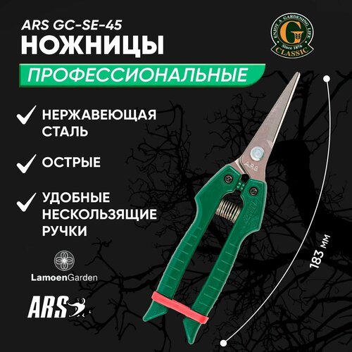    ARS GC-SE-45    -     , -,   