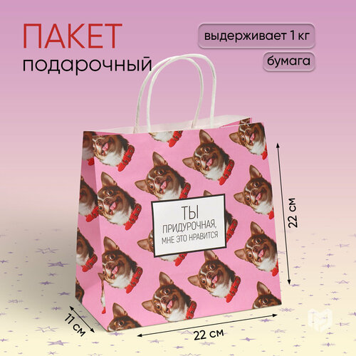 ������ ������ ����� ���������� ��� �����������, ��� ��� ���������, 22 � 22 � 11 �� ����