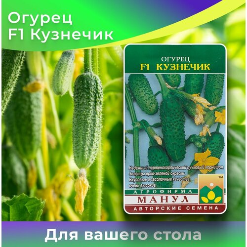 ������ ������ ������ ������ 