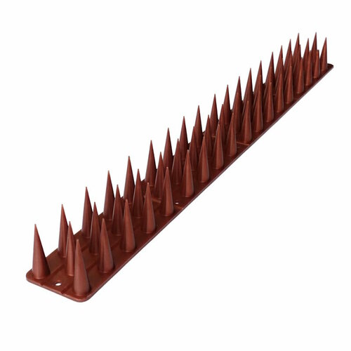 ������ ������ ���� �� ���� � �������� 