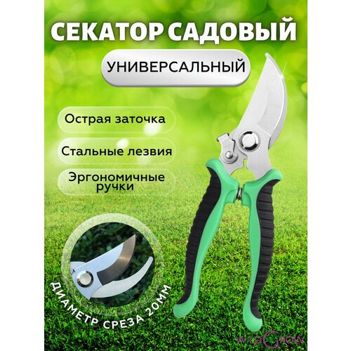 ������ ������ W-GROW ������� ������� ��� ����, ������, ������ � �������� ����