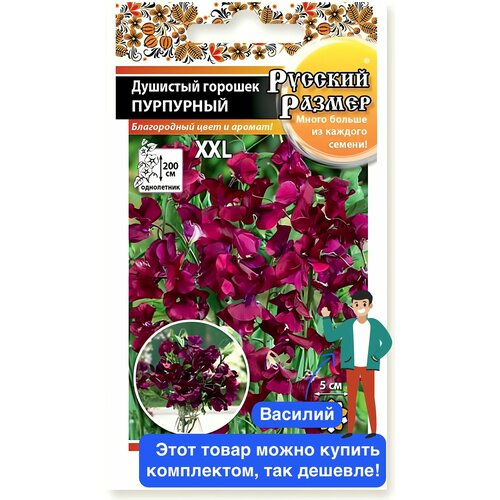 ������ ������ ����� �������� ������� ������� ������ ����