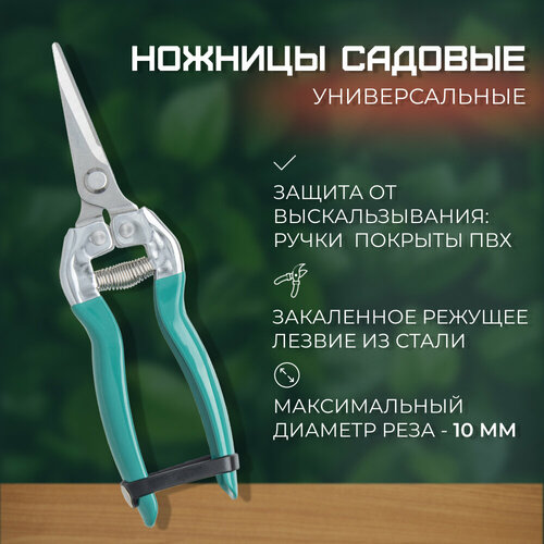 ������ ������ ������� �������������, ������� �������, ������� �������������������, ��������� �������� ����