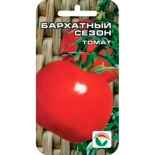 ������ ������ ������ ����� ��������� ����� 20�� ��� (��������� ���) ����