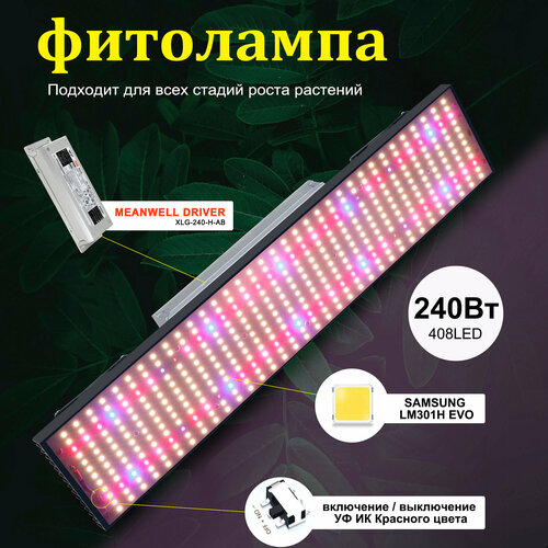 ������ ������ ���������� ��� �������� 