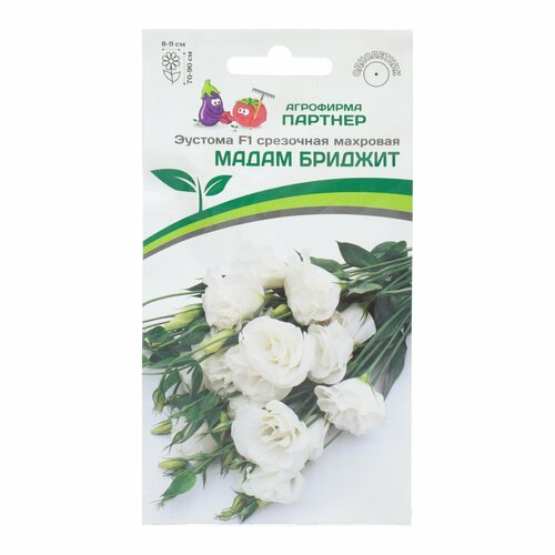 ������ ������ ������ ������� ��������� �������� 