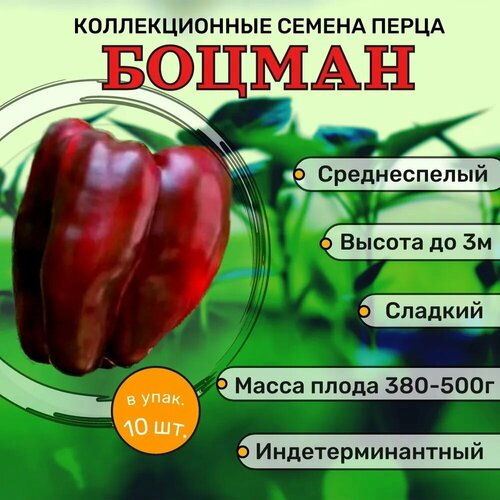 ������ ������ ������������� ������ ����� �������� ������ ����