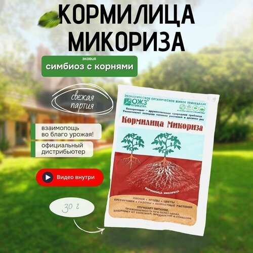 ������ ������ ��������� ��������� �������� 1 �� �� 30 ����� ����