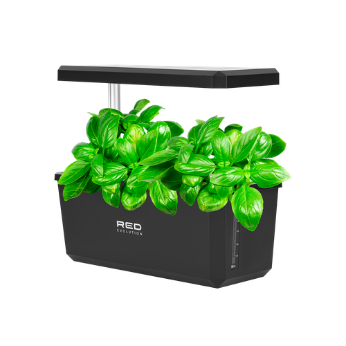 ������ ������ ����� ��� Red Evolution RSG-01 ����